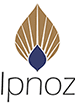 cropped ipnoz logo 1